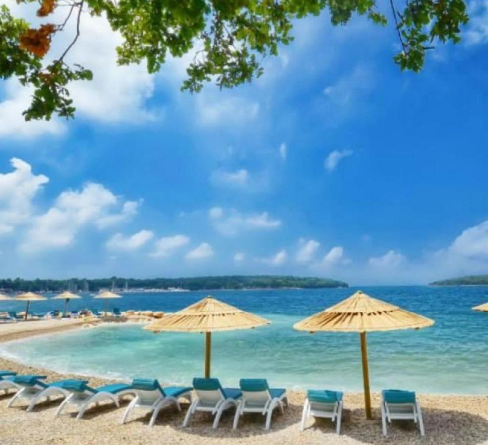New!!! 2024 Marea Apartments With Xxl Sunny Terrace 波雷奇 外观 照片