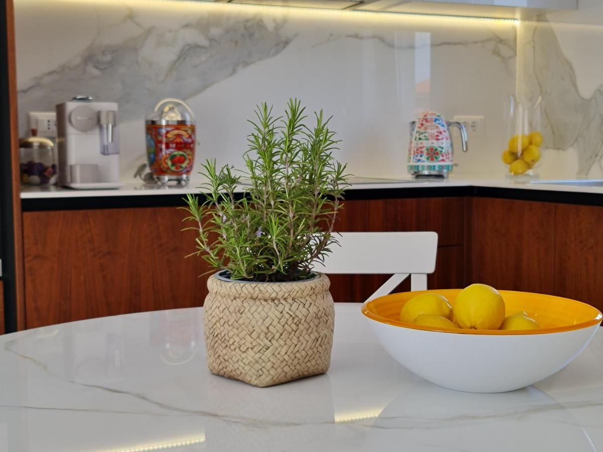 New!!! 2024 Marea Apartments With Xxl Sunny Terrace 波雷奇 外观 照片