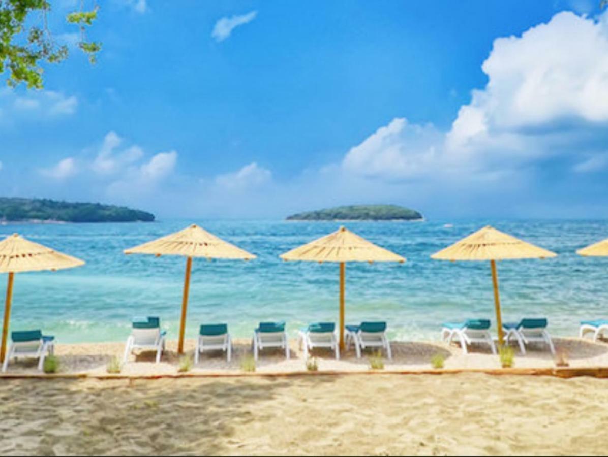 New!!! 2024 Marea Apartments With Xxl Sunny Terrace 波雷奇 外观 照片