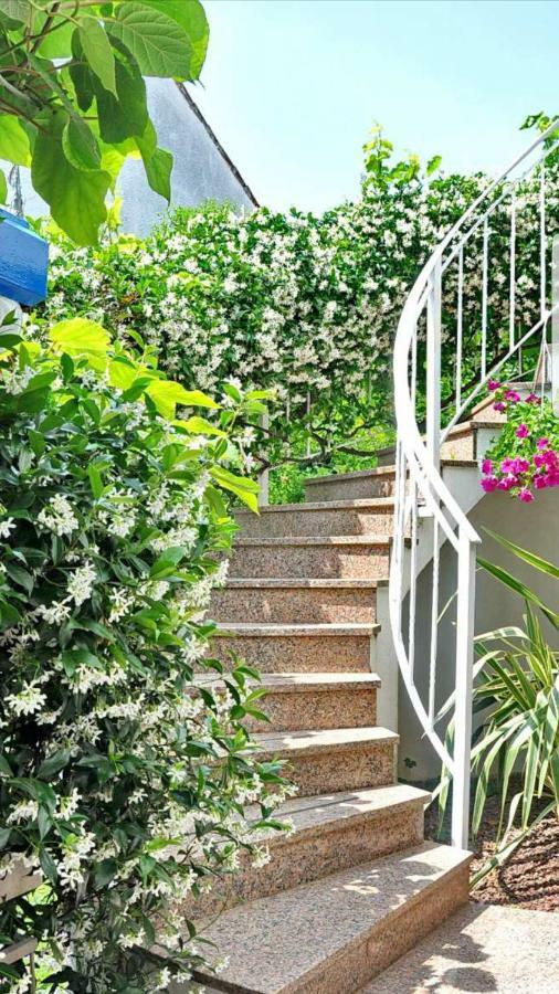 New!!! 2024 Marea Apartments With Xxl Sunny Terrace 波雷奇 外观 照片
